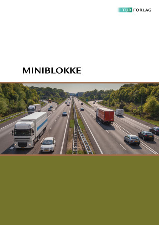 Miniblokke