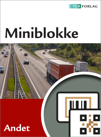 Miniblokke